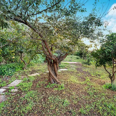 Casa La Victoria Tatil Evi